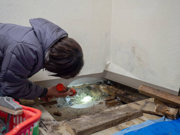 Mold Remediation for Vacation Homes in Loma, CO