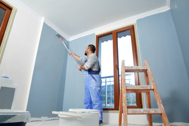 Best Dehumidification Services  in Loma, CO