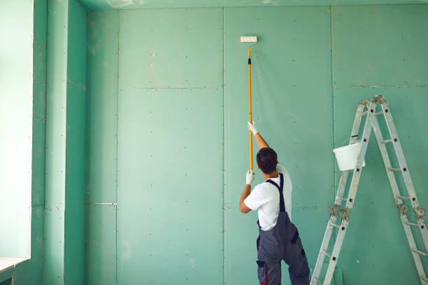 Mold Documentation for Insurance Claims in Loma, CO
