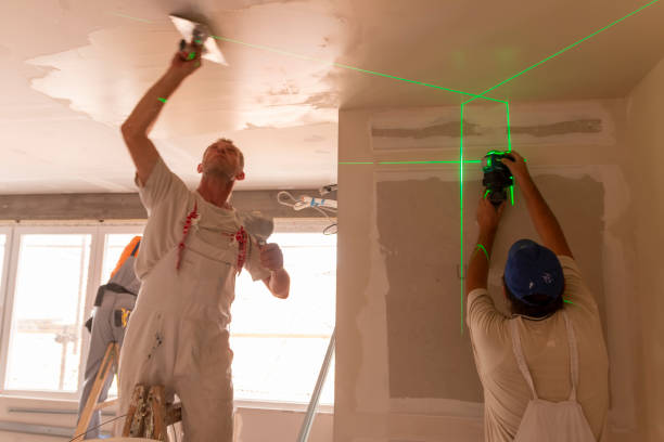 Best Black Mold Removal  in Loma, CO
