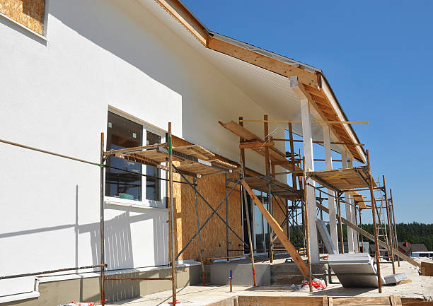Biohazard Mold Removal in Loma, CO