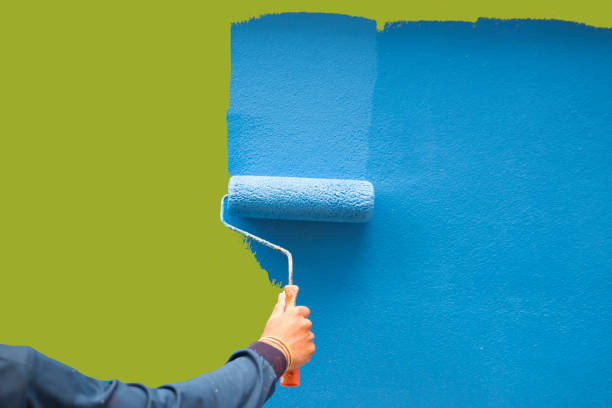 Best Residential Mold Inspection & Testing  in Loma, CO
